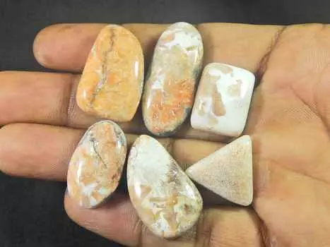 21-36MM натуральный сколецит 6 шт. смешанный кабошон драгоценный камень россыпью 153 карата RQ-2130