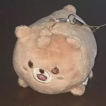 21 Day6 Sungjin Doll Denimals Petit Mels Room