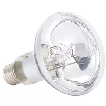 220?240 В 80 Вт лампа для обогрева домашних животных UVB лампы для обогрева рептилий лампа для обогрева домашних животных Nomoy