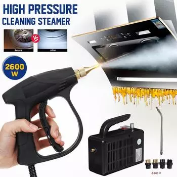 220 В 2600 Вт Пароочиститель Пароочиститель Высокого Давления Мобильный Автоматический Насос Стерилизация Дезинфектор Парогенератор