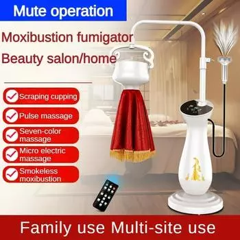 220 В бездымное бытовое использование моксотерапия оборудование дворец холодная физиотерапия салон красоты учреждение оздоровительный аппарат White Experience Edition