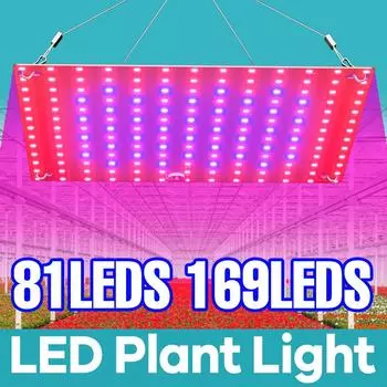 220 В светодиодный светильник для роста растений, полный спектр, 40 Вт, заполняющая лампа с квантовой платой, лампы для выращивания рассады в гидропонике, освещение для выращивания цветов 20W 81leds&UK plug
