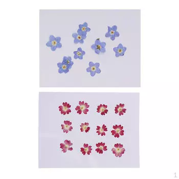 22 шт. мини натуральные сушеные цветы вербена украшение для DIY подвески подвески для ногтей