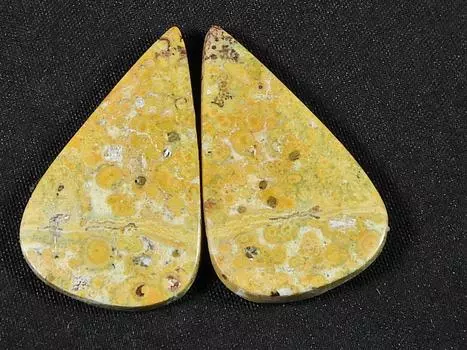 22Cts.Natural Leopard Skin Jasper Matched Pair Handmade Gemstone 17X27X02 MM SK-807