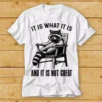 230 Gsm 100% Cotton It Is What It Is And It Is Not Great Chillin Funny Raccoon Joke Meme Cartoon T Shirt Cult Movie Retro Vintage Music Top Tee 2396 XXS белый