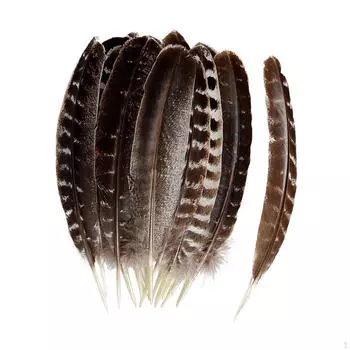 24 шт. DIY Декоративные перья Аксессуары для костюмов Творческие украшения для вечеринок из перьев