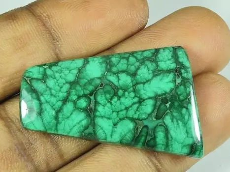 24X39X04MM Natural Malachite Fancy Shape Cabochon Loose Gemstone 59Cts. SK-4605