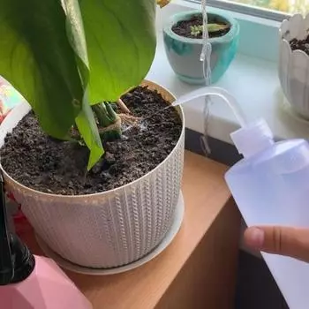 250/500 мл чайник для полива с водой, инструмент для полива суккулентов, растений, цветов, бутылки с садовыми инструментами для сада