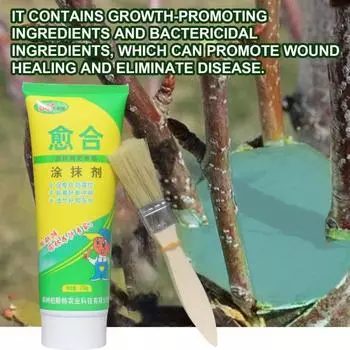 250 г паста для прививки бонсай, лечебное средство для растений с щеткой для ремонта повреждений, паста для обрезки, принадлежности для растений зелёный