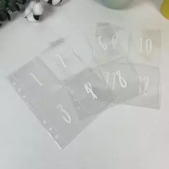 25 листов, 100 конвертов. Задача экономии денег. Сменные вкладыши для переплета. Простой и забавный способ сэкономить деньги. Предварительно маркированные мешочки для денег на 1–100 штук.