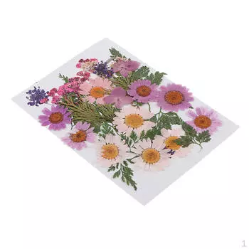 25 шт. несколько смешанных натуральных настоящих прессованных сушеных цветов и листьев, поделки своими руками A