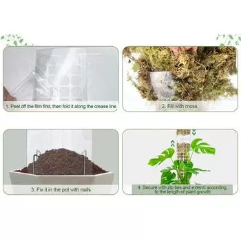 2/4/6 шт. вьющееся растение водяной мох колонна комнатный мох столб растения пластиковый столб для сфагнума поддержка горшечные растения палки лианы 2PCS