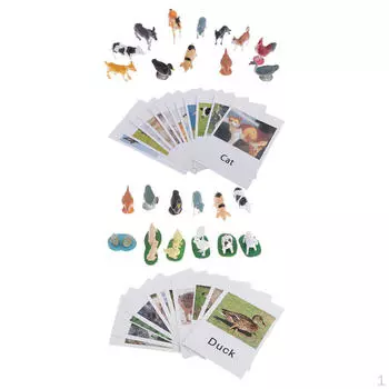 2 4 шт., обучающая модель игрушечных животных с именными карточками, образовательный материал Монтессори