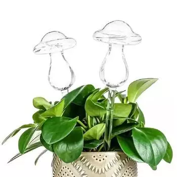 2/4 шт. прозрачные шарики для полива растений, простая установка, внутренние самополивающиеся кашпо, вставка из прозрачного стекла, лампы для полива 2pcs C
