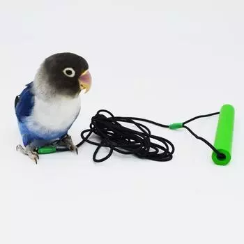2-6 м веревка для отпугивания птиц, антиукусный ремень для голубей, эластичная веревка для ходьбы, наборы поводков для птиц на открытом воздухе 4m