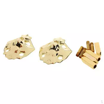 2 пары шнурков для обуви, наконечники для шнурков + 1 пара металлических шнурковых замков с головой льва, золотого цвета