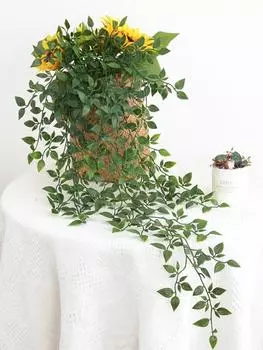 2 шт. искусственные растения, искусственные висячие лозы, искусственные лианы, цветы, лозы, домашний декор, свадебный сад, гирлянда из плюща, гостиная, вечеринка, ротанговое украшение зелёный