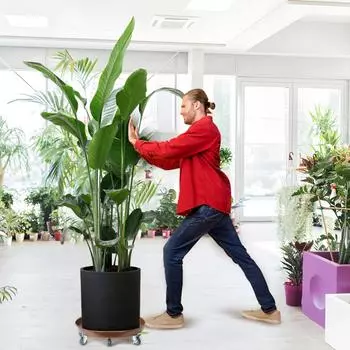 2 шт. 20 дюймов подвижный держатель для цветочного горшка с дренажным устройством прочный утолщенный колесный мобильный поддон для растений подставка поддон для сада дома