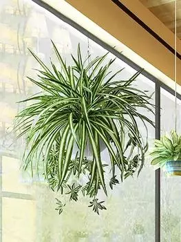 2 шт. 60 см 5 головок искусственные растения настенные хлорофитум зеленые растения искусственный цветок имитация листьев домашний садовый декор зелёный