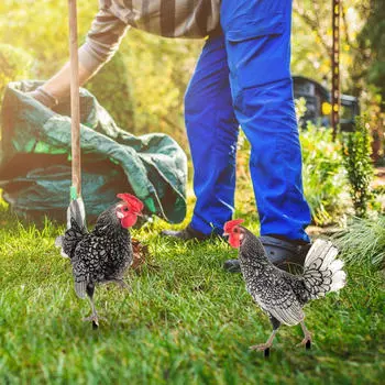 2 шт. акриловый садовый куриный кол, петух, новинка, прочная вставка для патио, двора