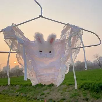 2 шт. бант шнуровка трусы женские ажурные сетчатые трусики с оборками милые трусики кролик девушка 2Pcs Pink&White