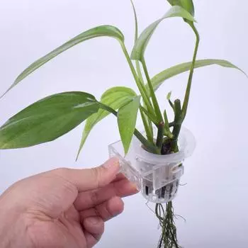 2 шт. чашка для водных растений, выдолбленная настенная чашка для снижения содержания нитратов, гидропонная чашка для посадки растений, аксессуары для аквариума 2pcs