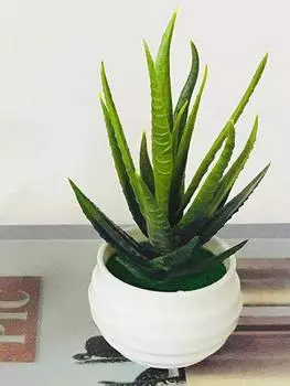 2 шт. искусственное алоэ, имитация растения в горшке, мини-растение в горшке, искусственная пластиковая форма для дисплея, бонсай для домашнего декора стола