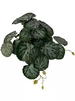 2 шт. искусственные растения лоза черепаха задний лист бегония настенный цветок ротанг зеленая трава в горшке домашний балкон садовый декор