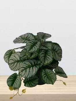 2 шт. искусственные растения виноградная лоза черепаха задний лист бегония лист настенный в горшке для домашнего декора для балкона и сада