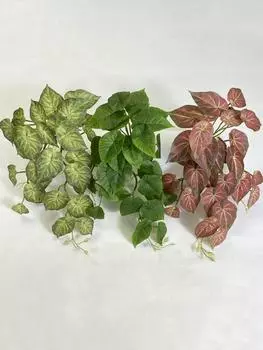 2 шт. искусственные зеленые растения укропа, настенные подвесные искусственные растения для дома, обеденного стола, гостиной, свадьбы, сада, вечеринки, украшения стен красный