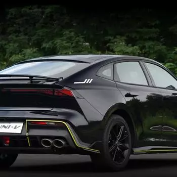 2 шт./компл. наклейки на кузов автомобиля универсальные боковые крылья декоративные цветочные модификации наклейки на задние габаритные огни ПВХ наружные изделия автомобиля чёрный