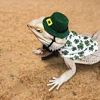 2 шт./компл. Удобная тканевая шапка в виде ящерицы с регулируемой пряжкой Стильный костюм для скалолазания для домашних животных зелёный