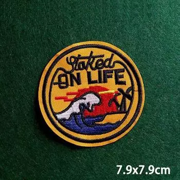 2 шт./лот нашивки, железные нашивки для одежды, вышивка, наклейка на одежду, вышитые нашивки для одежды, термоклеевые нашивки