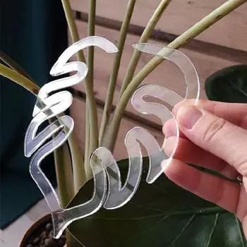 2 шт., монстера, захват для поддержки растений, пластиковые подставки для растений, держатель для листьев, поддержка стебля растения монстера для