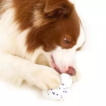 2 шт. мягкий успокаивающий мяч для собак безопасная игрушка для домашних животных щенок жевательная игрушка мягкая собака