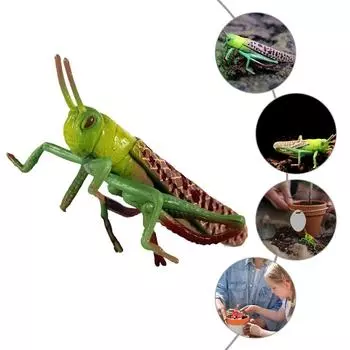 2 шт. мультяшная статуя саранчи яркие игрушки для животных забавная модель животного саранчи сад 2Pcs