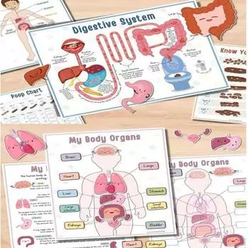 2 шт./набор Анатомия человека Занятная книга Образовательная психическое здоровье Раскраска Интерактивная