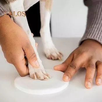 2 шт. Набор для самостоятельного изготовления отпечатков лап собак/кошек, подвесное украшение с инструментами для настройки и подставкой для демонстрации, набор для сувениров из глиняной лапы белый