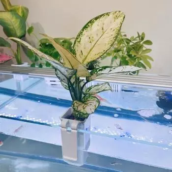 2 шт. подставки для водных растений, аквариум, цветочный горшок, пластиковая подвеска для аквариума, украшения, гидропонные растения, корзины