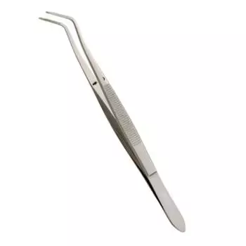 2 шт., стоматологические хирургические пинцеты из фольги, пероральные пинцеты из нержавеющей стали для коллажей, хлопковые плоскогубцы