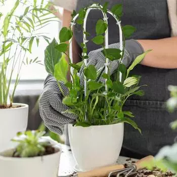 2 шт. U-образная акриловая шпалера для растений, прозрачная опора для растений с завязками для вьющихся растений S