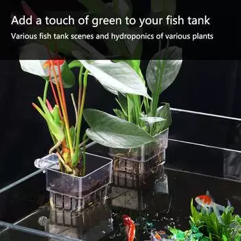 2 шт., выдолбленный стакан для водных растений, настенный, снижающий уровень нитрата, надводный стакан для гидропонной посадки растений, аксессуары для аквариума