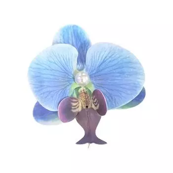 2 шт. Заколка для волос с жемчугом фаленопсис One Size синий