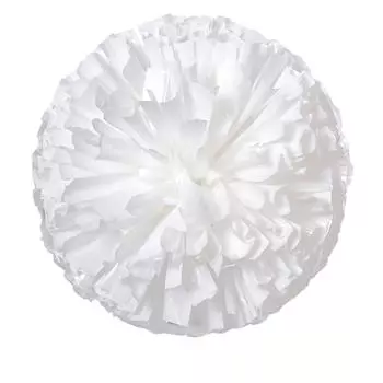 2 упаковки, 30 см/11,8 дюйма, однотонный, с толстым помпоном, многоцветный, для выступления команды болельщиков One Size белый