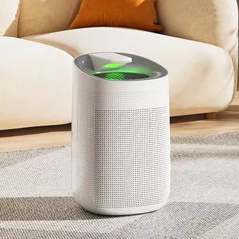 2-в-1 осушитель воздуха очиститель воздуха 1 л резервуар для воды бесшумные поглотители влаги осушитель воздуха для дома комнаты офиса кухни дезодорант осушитель