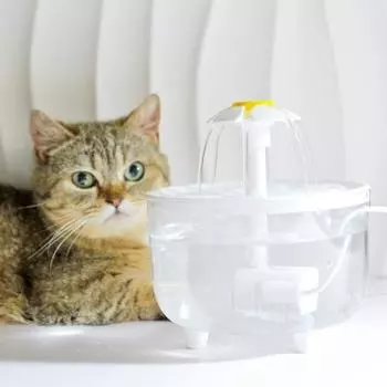 2л ванна для птиц циркулирующий фильтр клетка фонтан ванна для птиц для комнатных попугаев неразлучников корелл съемный диспенсер для воды для кошек белый