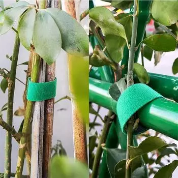 2M Nylon Plant Bandage Tie Reusable Plant Hook Loop Ties Green Fastener Tape Bamboo Cane Wrap Support Home Garden Accessories 3 PCS зелёный