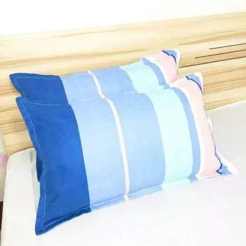 2Pcs 48x74cm Pillow Case Dacron Cushion Cover Sofa Decor Pillow Shell Living Room 2