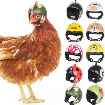 2Pcs Chicken Helmet Small Pet Hard Hat Bird Duck Quail Hat Headgear Pet Chicken Helmet Bird Head Helmet Pet Supplies random