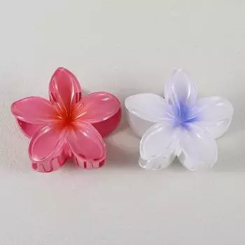 2Pcs Flower Hair Claw Clips for Women Gradient Large Claw Clips for Thick Hair Girls No-slip Hairpins Women Hair Accessories